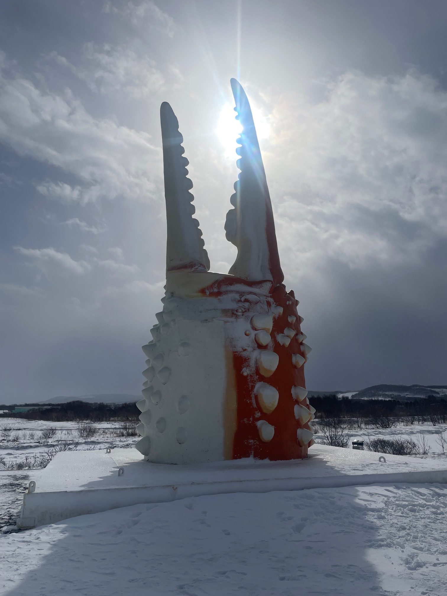 2025.01.21 オホーツクに巨大なカニ